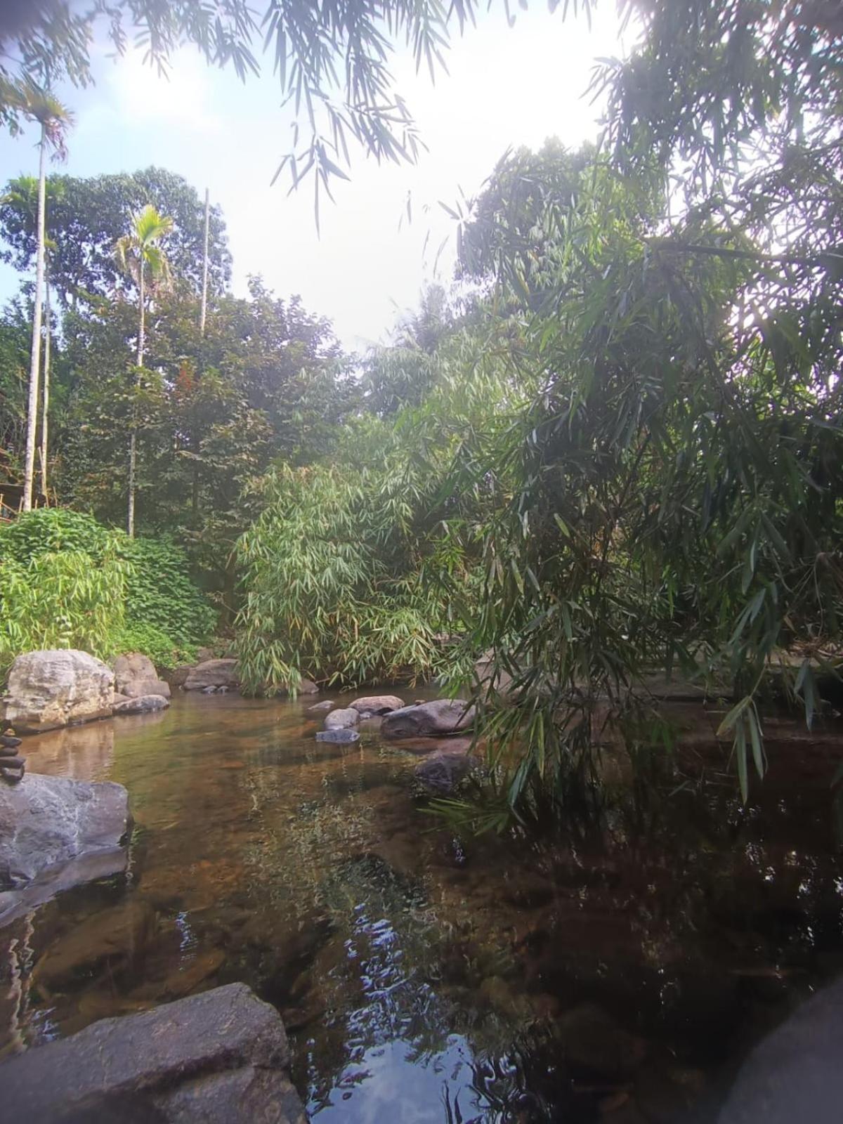 The Stream View Wayanad Villa Vythiri
