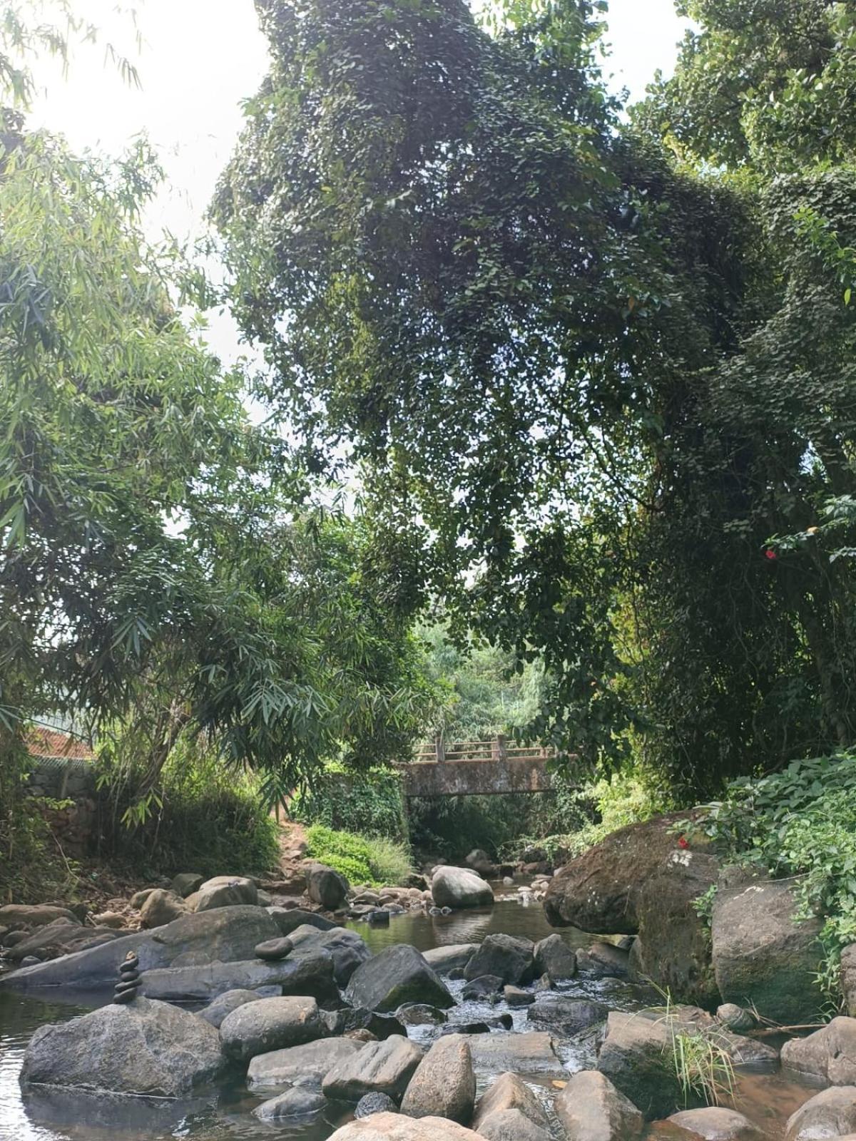 The Stream View Wayanad Vythiri