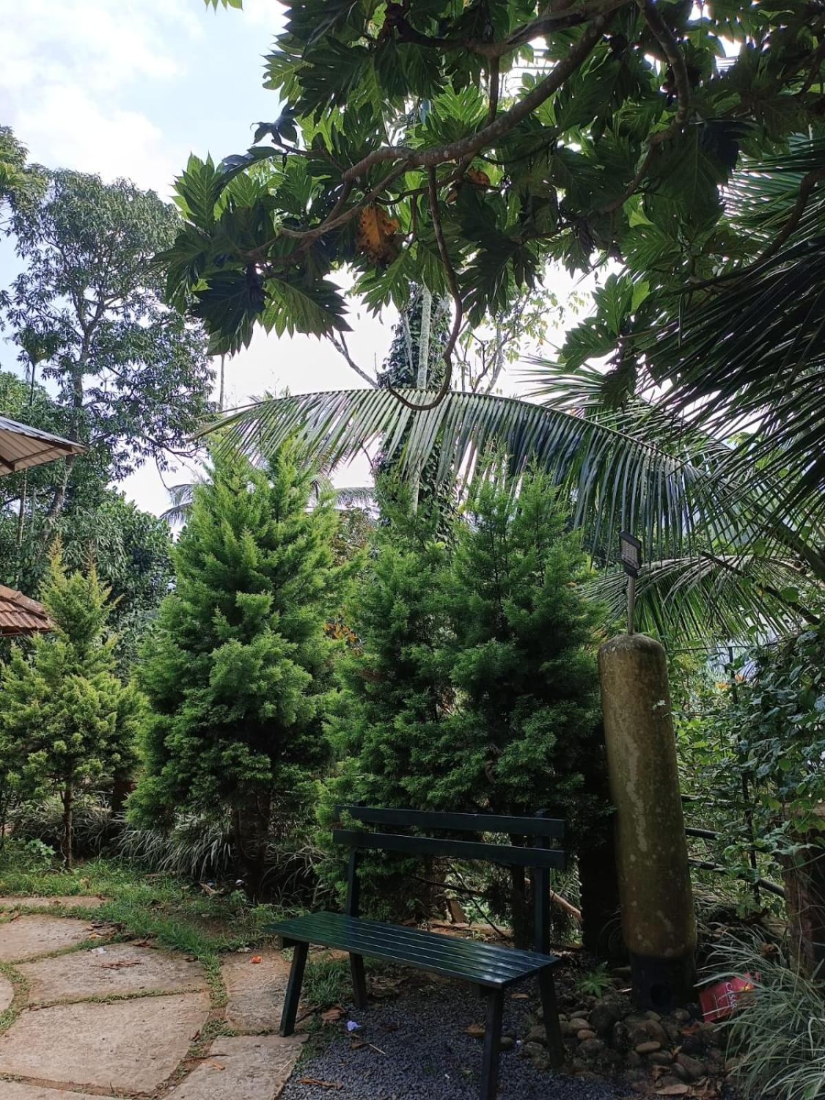 The Stream View Wayanad Villa *
